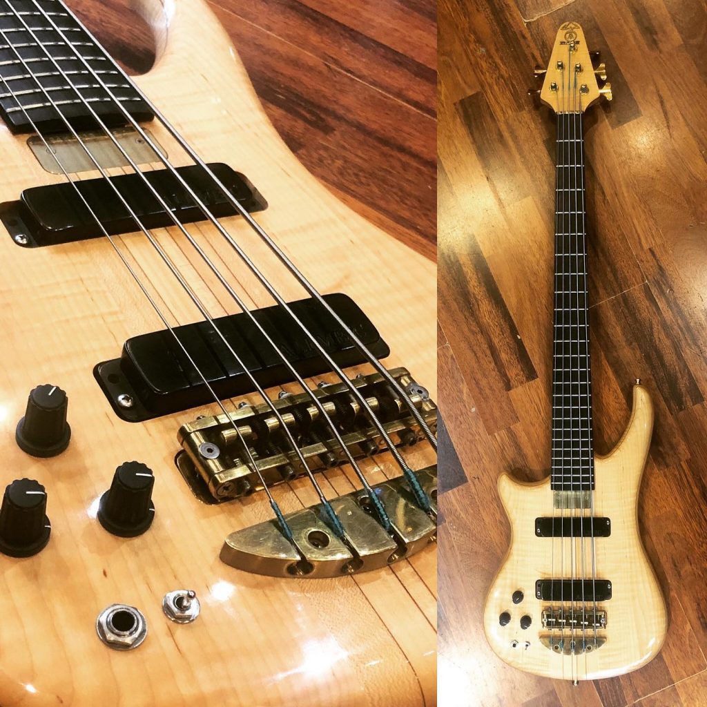 Alembic Essence 5 gaucher. #alembicbass #alembicessence #lefthandbass #bass #basse #bassporn #bassgram #bassguitar #electricbass #bass