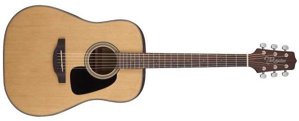 Takamine GD10-NS