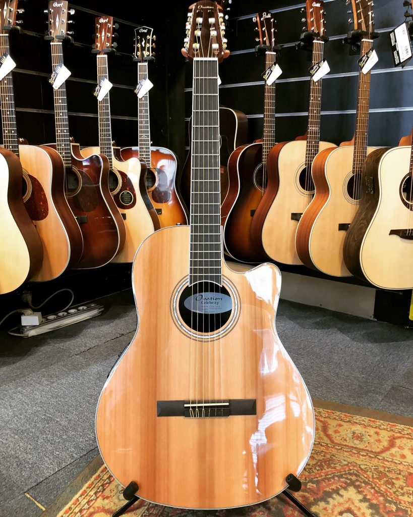 Ovation nylon CS24