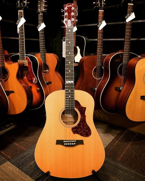 Godin Natural Cedar EQ 🇨🇦