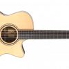 Furch Green Gc-SR Grand Auditorium Cutaway Sitka