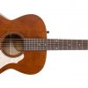 Art & Lutherie Legacy Havana Brown CHQD
