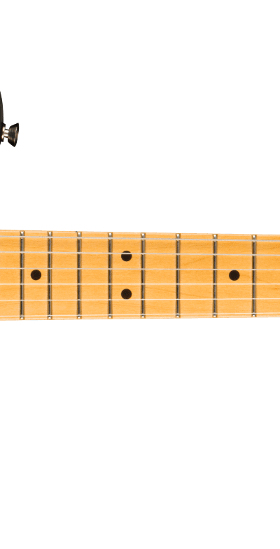 Fender American Pro II Telecaster Maple 3TS