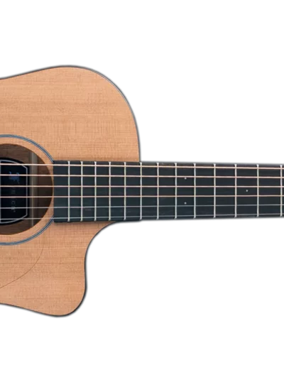 Furch Pioneer CM LRB1 43mm