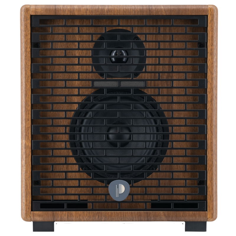 Prodipe Combo Acoustique Natural 5 V2 Walnut Wood